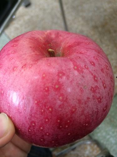 娱乐吃瓜酱密集恐惧症